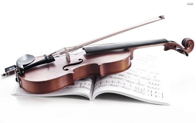 Tuyển giáo viên dạy violin HCM